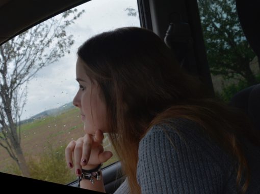 Co zpátky doma?