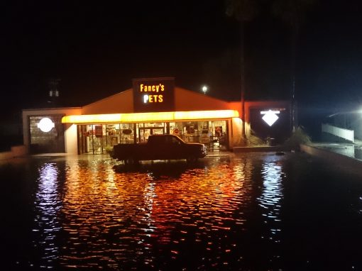 Hurikán na Floride